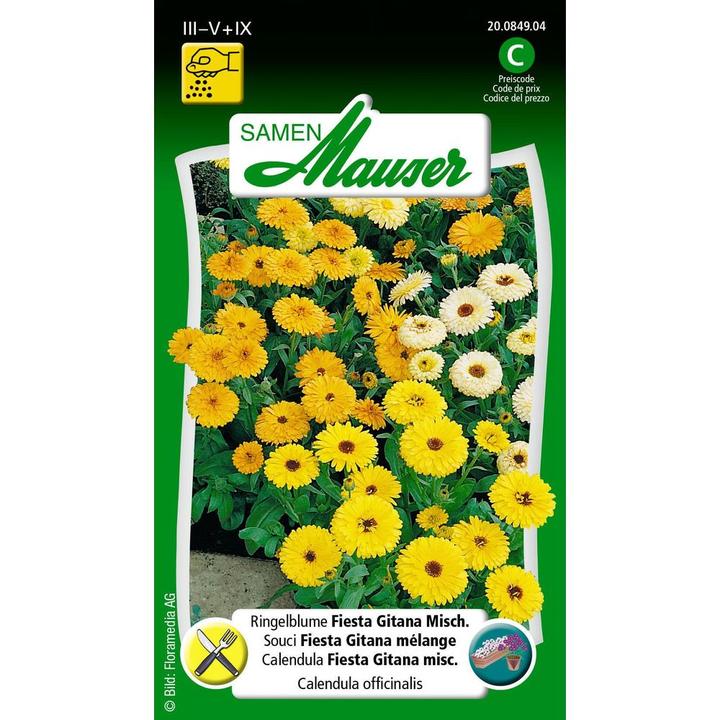Image du produit Samen Mauser Souci Fiesta Gitana, mélange (Graines de plantes)
