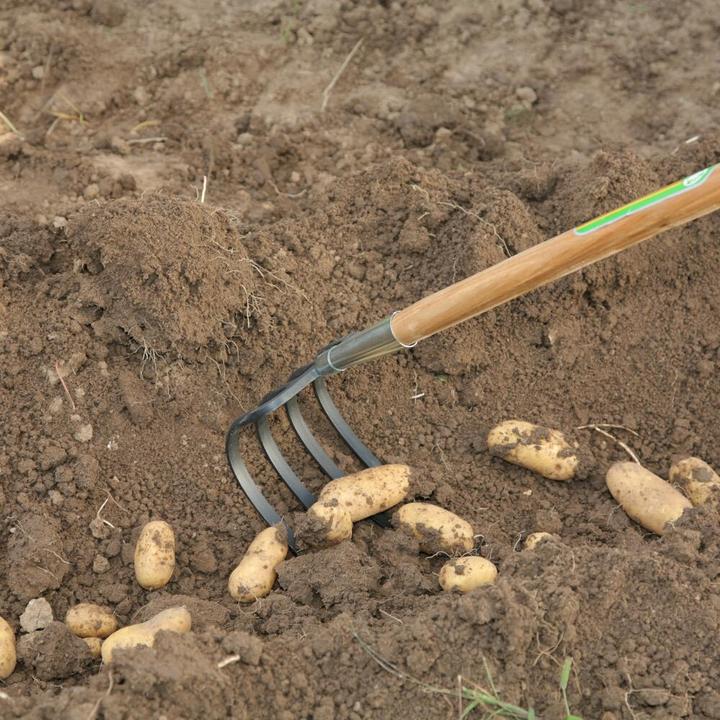 Actual product image Victoria Hoe