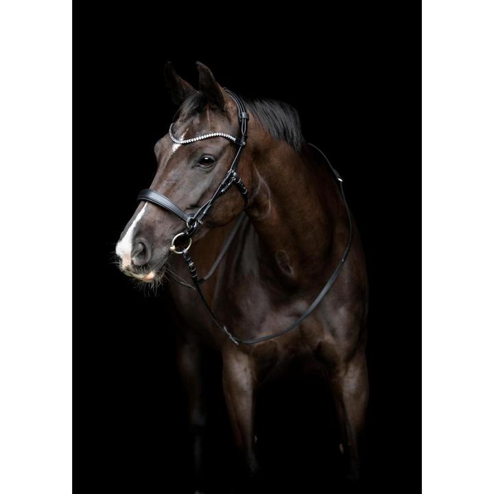 Produktbild Catago Gentle