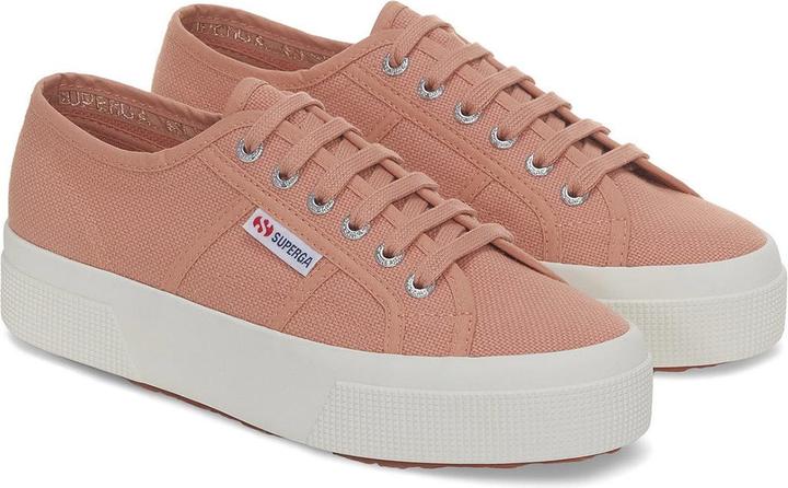 Rose grisâtre, Avorio