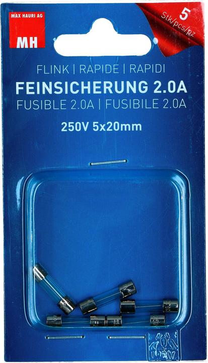 Max Hauri 250V 5x20mm, 5 pcs. (2 A)