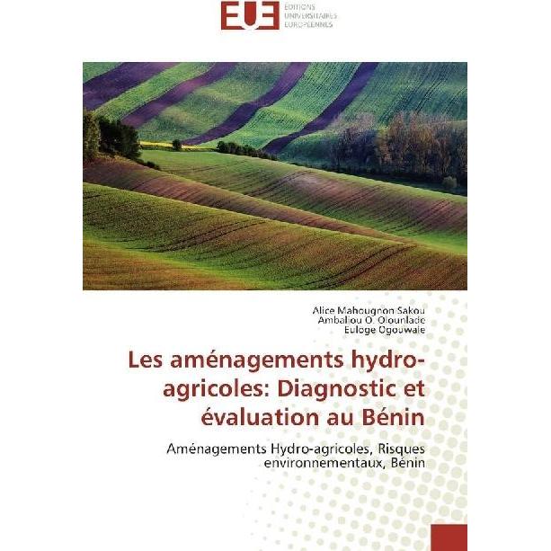 Les aménagements hydro-agricoles: Diagnostic et évaluation au Bénin, Fachbücher von Ambaliou O. Olounlade, Euloge Ogouwa...