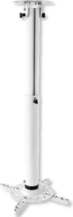 Techly Deckenhalterung ICA-PM-104MW (Decke)