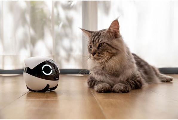 Actual product image Enabot Rola Mini Companion Robot (2304 x 1296 Pixels)