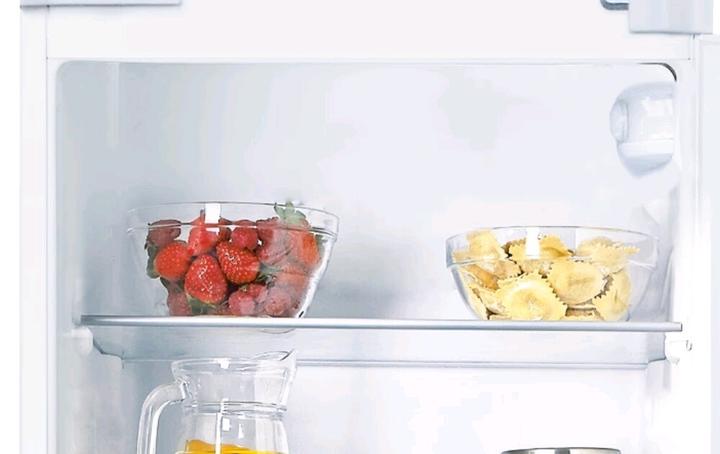 Actual product image Candy CTM516EW Built-in Double Door Refrigerator (242 l)