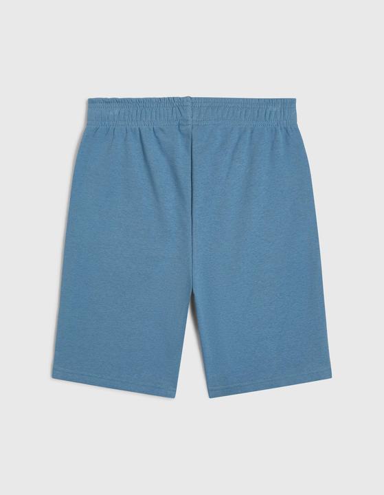 Image du produit O'Neill Logo Sweatshorts (164)