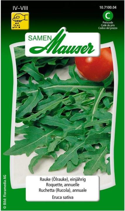 Produktbild Samen Mauser Rauke Ölrauke (Kräutersamen)