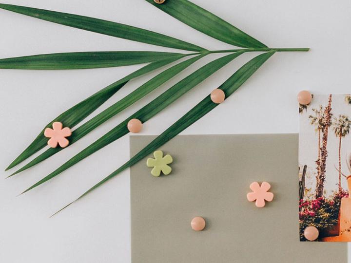 Actual product image I Am Creative Decomagnets, Button Magnets (8 x)