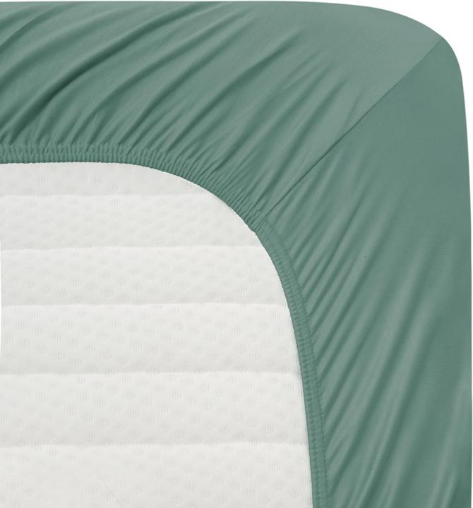Actual product image Aspero Natal cotton fitted sheet - 8476 (140 x 200 x 25 cm)