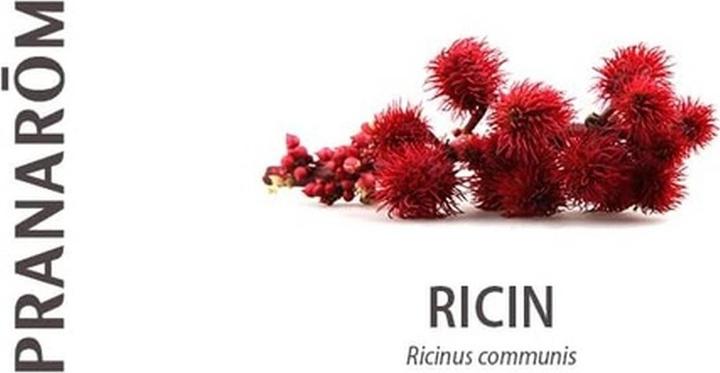 Produktbild Pranarom Organisches Rizinusöl pflanzlich (Körperöl, 100 ml)