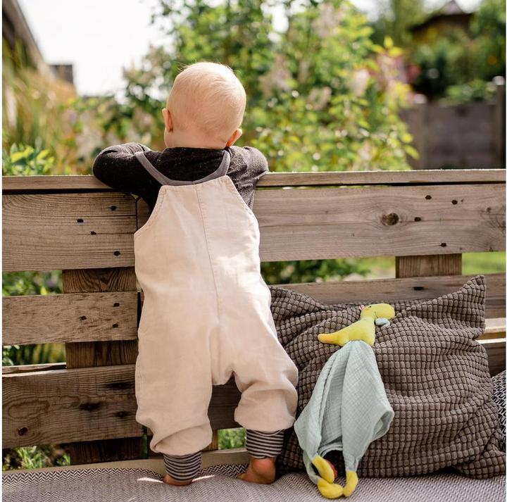 Image du produit Fehn Doudou Dino