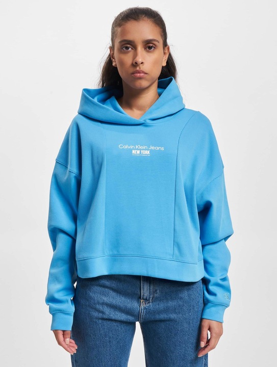 Actual product image Calvin Klein Jeans Rib Insert Interlock Hoodie - 89179 (S)