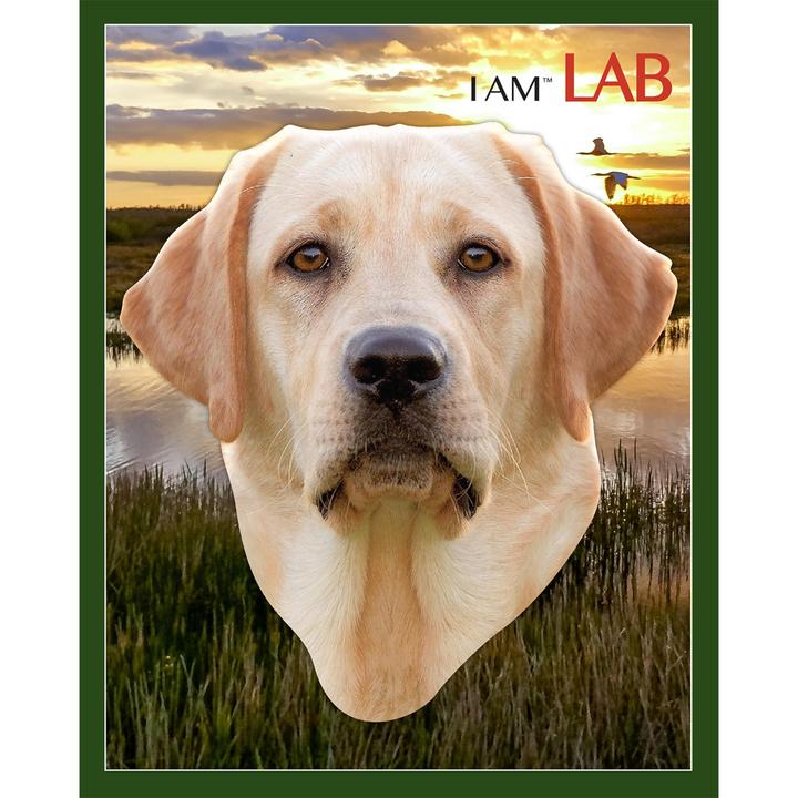 Actual product image Madd Capp I AM LAB 550 Puzzle (550 pieces)