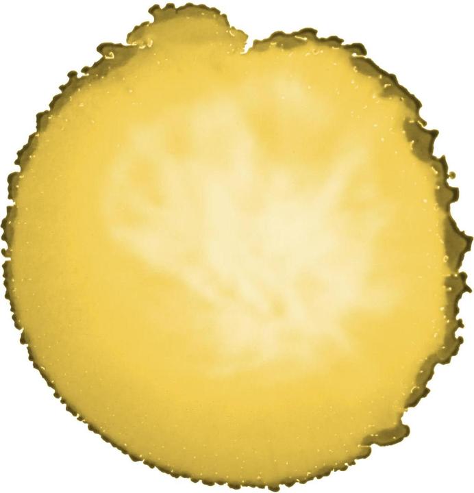 Produktbild Cernit Alkoholtinte (20 ml)