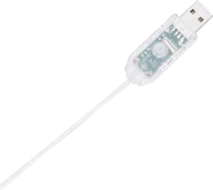 Image du produit vidaXL Weihnachtsdekoration