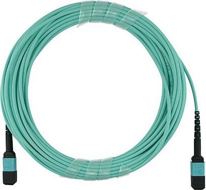 Actual product image BlueOptics Allied Telesis AT-MTP12-50 compatible MTP-MTP multimode OM3 patch cable 50 metres (50 m)