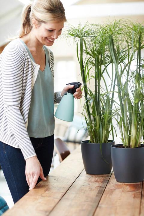 Actual product image Elho Brussels (20 x 19 cm)