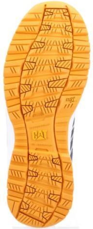 Actual product image Cat Batch (S3, 44)