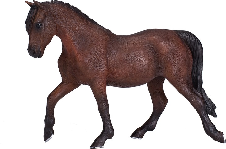 Actual product image small foot Morgan Stallion brown
