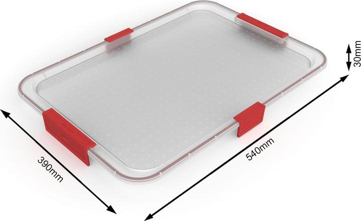 Actual product image Rotho Lid with seal for box ALBRIS (56 x 40 x 3 cm, 45 l)
