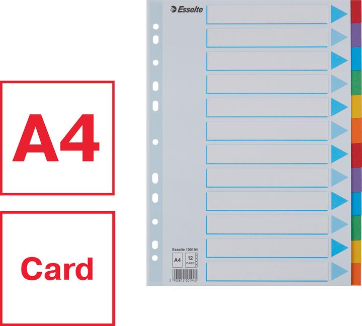 Actual product image Esselte Register cardboard colored