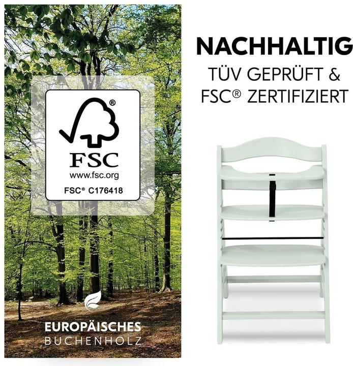 Actual product image Hauck Hochstühle Hochstuhl Alpha Plus Mint - im Sparset inkl. (Highchair)