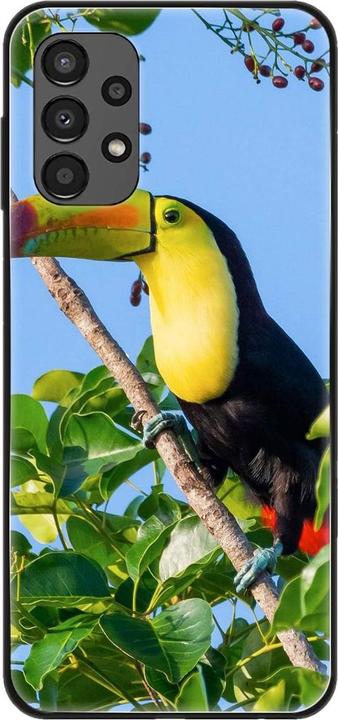 Tucan