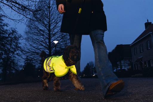 Image du produit Beeztees Bz Sg Manteau Pour Chien Teddie Reflets (XXL, Manteau pour chien)