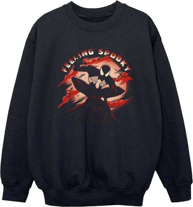 Image du produit Spiderman - Sweat FEELING SPOOKY - Garçon (116)