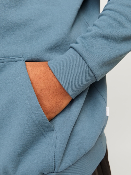 Produktbild Jack & Jones Jjebradley Sweat Hood Noos Pls (XXL)