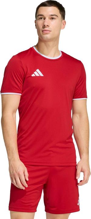 Actual product image Adidas Entrada T-Shirt (XL)