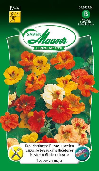 Immagine prodotto Samen Mauser Nasturzio Gioielli colorati (Semi di erbe)