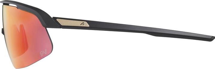 Immagine prodotto ALPINA SPORTS Turbo Pro S Qv (Nero opaco, Rainbow)