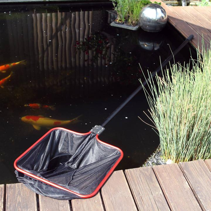 Actual product image JBL Aquaristik und Terraristik Pond landing net JBL M fine incl. 160 cm telescopic handle, net 50 x 43 cm