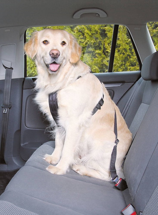 Produktbild Trixie Auto-Geschirr (M, Hund, Allgemein)