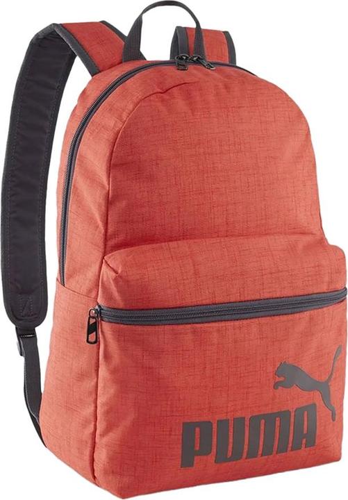 Actual product image Puma Phase III 22L Backpack (22 l)