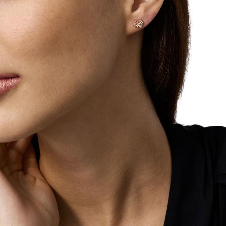 Produktbild Emporio Armani Ohrstecker (Sterling Silber)