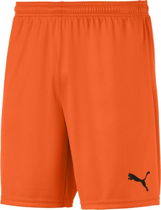 Actual product image Puma teamGOAL 23 knit shorts-704262 (S)