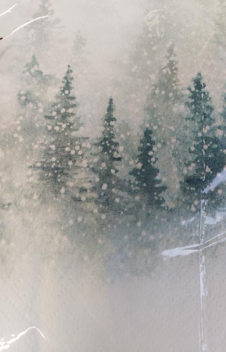 Actual product image Braun + Company Christmas napkins " Enchanted forest"