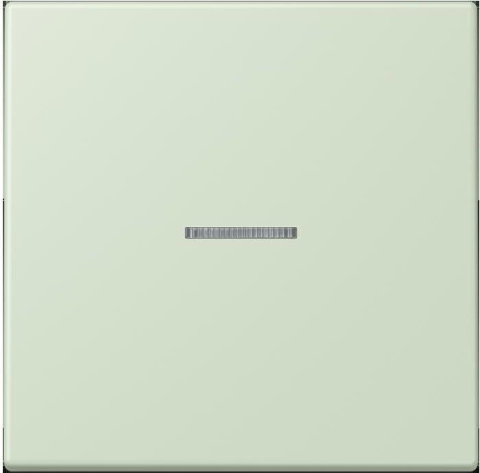 Actual product image JUNG Button