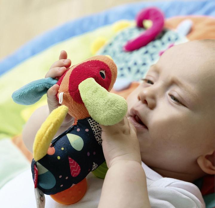 Image du produit Fehn Color Friends Griffin chien avec mordant