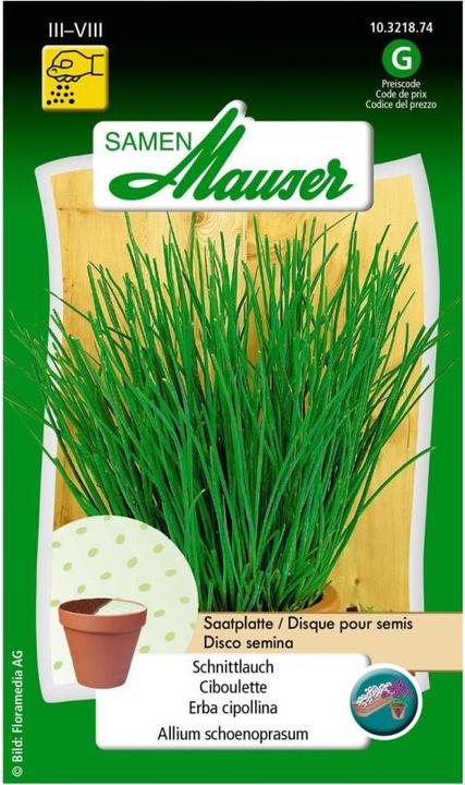 Samen Mauser Schnittlauch Saatplatte (Kräutersamen)