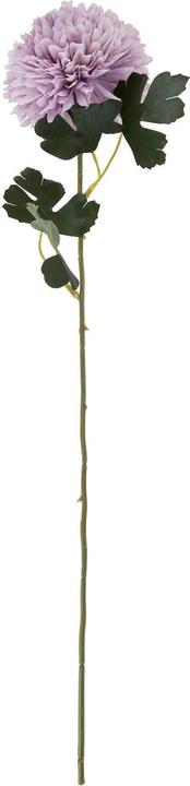 Produktbild Hill Interiors Kunstblume (65 cm)