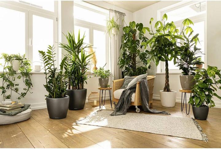 Image du produit Lechuza Classico (28.50 x 26 cm)