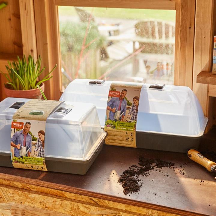 Actual product image Siena Garden Propagator