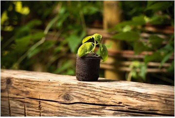 Produktbild Windhager Quell Tabs