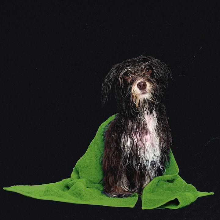 Image du produit Kibath Robinet WC rond avec douchette pour hygiène intime