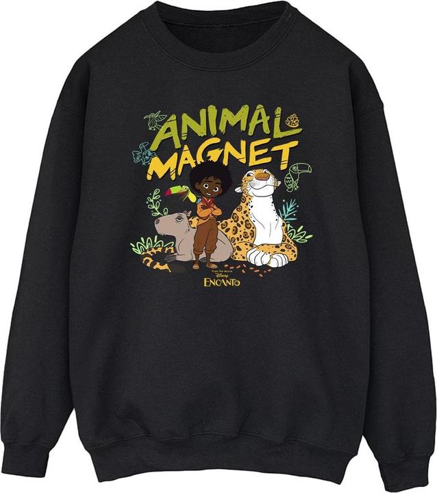 Produktbild Disney Encanto Animal Magnet Sweatshirt (XXL)
