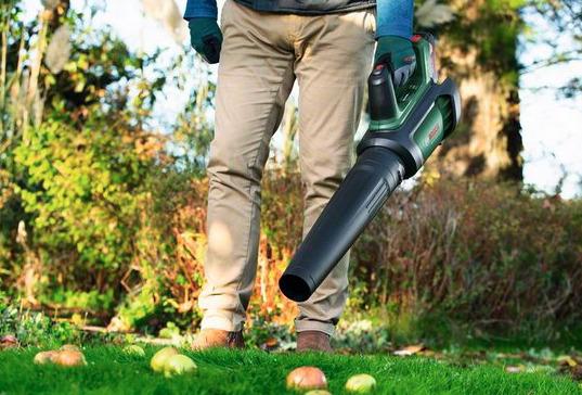 Actual product image Bosch Home & Garden Advanced Leaf Blower 36V-750 Solo (Rechargeable battery operated, Leaf blower)