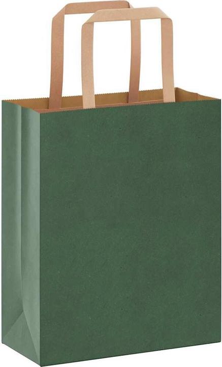 Image du produit VidaXL Sacs en papier kraft 250 pcs. avec anse Vert 18x8x22 cm Sac en papier (Pochette cadeau, 250 x)